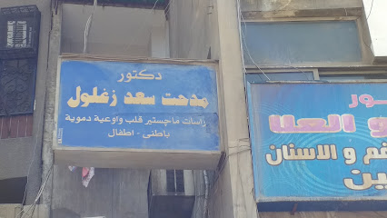 مدحت سعد زغلول