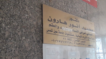 محمد أنور هارون