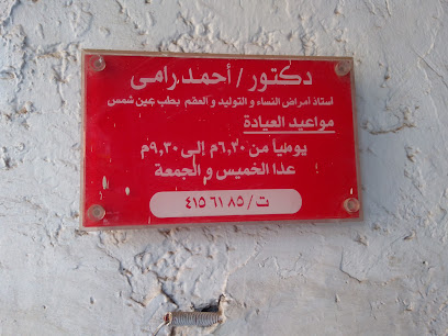 Ahmed Ramy Mohamed Ramy