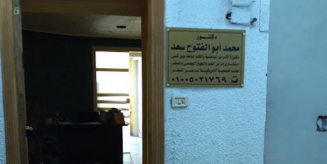 محمد أبو الفتوح سعد