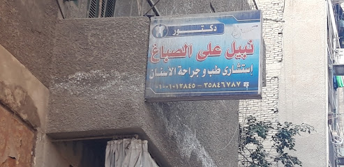 Nabil Ali El-Sbagh
