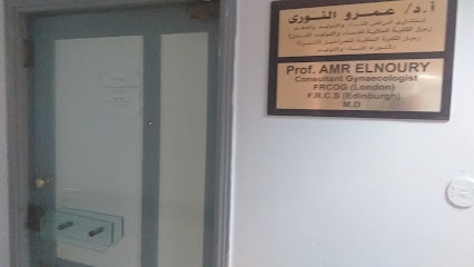 Amr El-Nwry