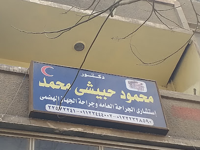 محمود حبيشي محمد
