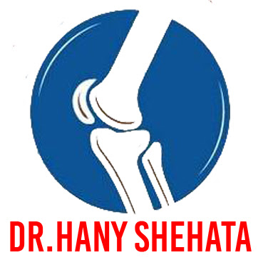 Hany Shhath Mahmoud