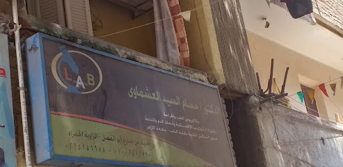 حسام السيد العشماوى
