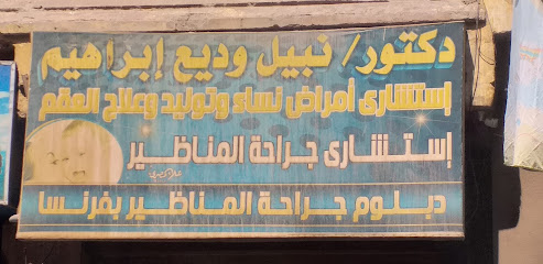 نبيل وديع إبراهيم