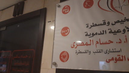 حسام المصرى