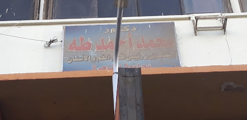 Mohamed Ahmed Taha