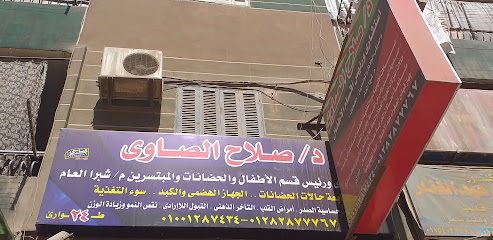 Salah El-Sawy