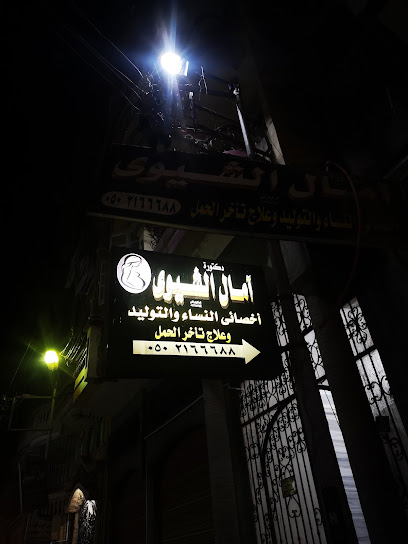 Amal El-Shywy
