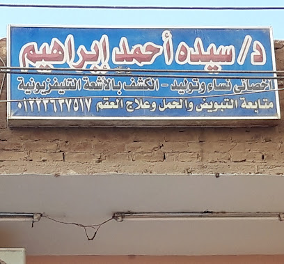 سيده أحمد إبراهيم