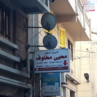 الأستاذ الدكتورمحيى مخلوف