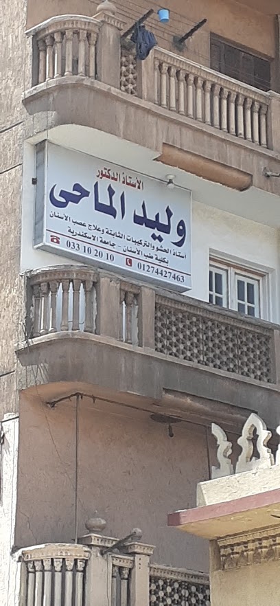 وليد الماحي