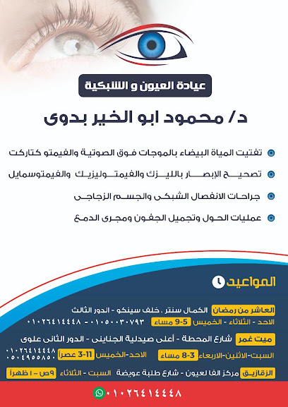 محمود أبو الخير