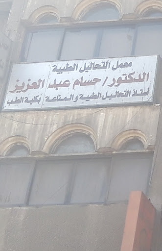 حسام عبد العزيز