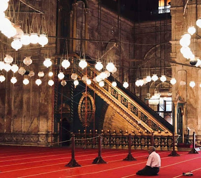 علاء عبد الحفيظ