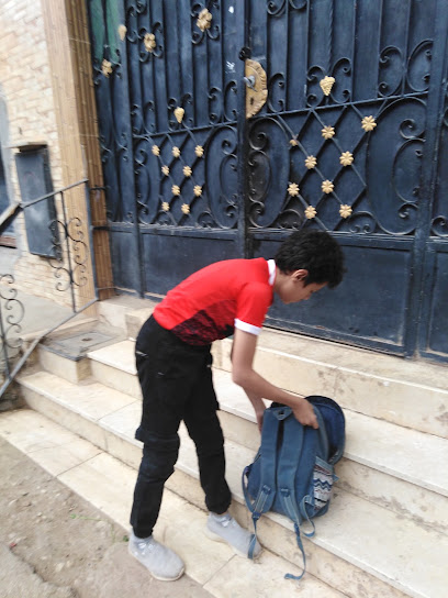شرين محمد