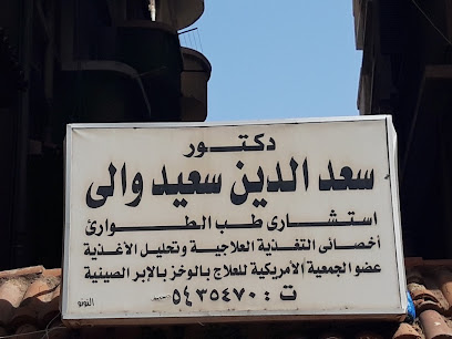 سعد الدين سعيد والى