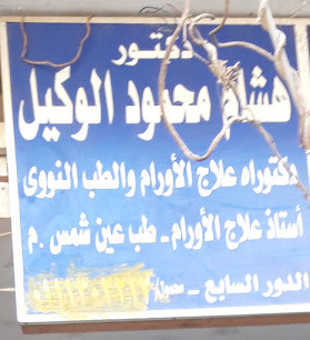 Hesham Mahmoud El-Wkyl