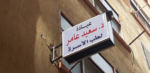 سعيد عامر