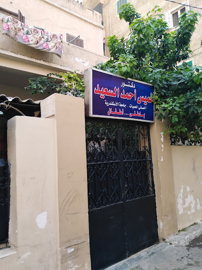 خميس احمد السعيد