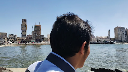 المكس البيطرى