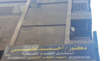 أحمد لطفى