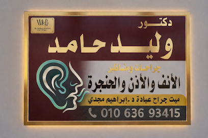 Walid Hamd