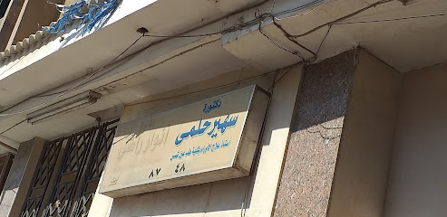سهير حلمى محمود