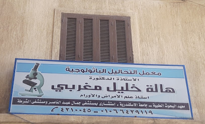 هالة خليل مغربى