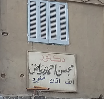 محسن أحمد رياض