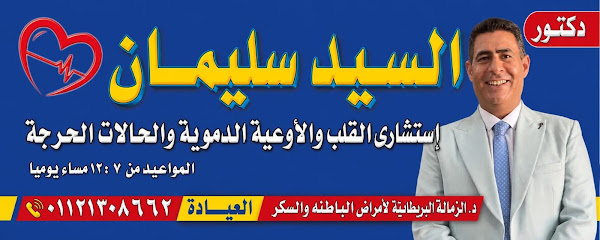 Sayed Soliman