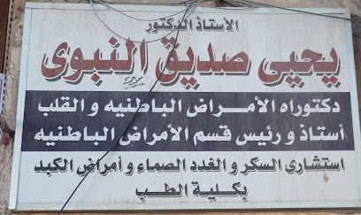 يحيى صديق النبوى