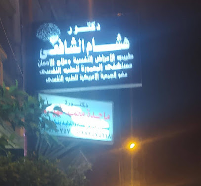 Hesham El-Shafay