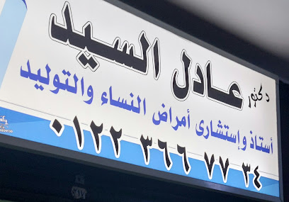عادل السيد