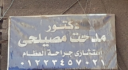 مدحت مصيلحى