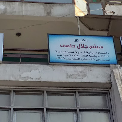 هيثم جلال حلمى