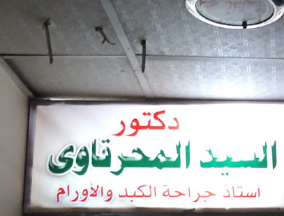 El-Sayed El-Mhrkawy