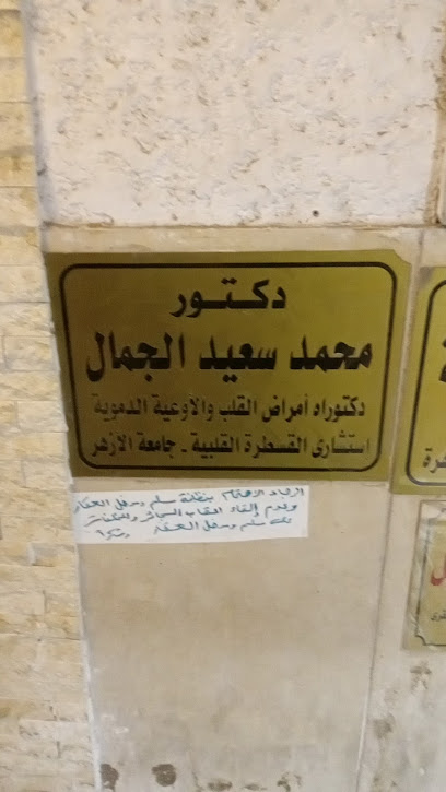 محمد سعيد الجمال