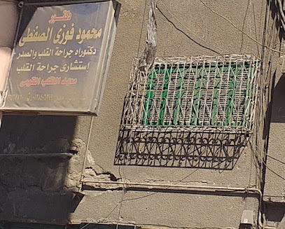Mahmoud Fawzy El-Sfty