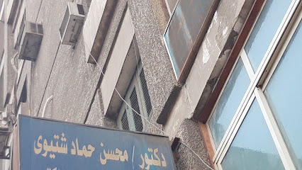 Mohsen Hmad Shtywy