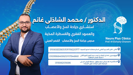 Mohamed El-Shazly Ghanm