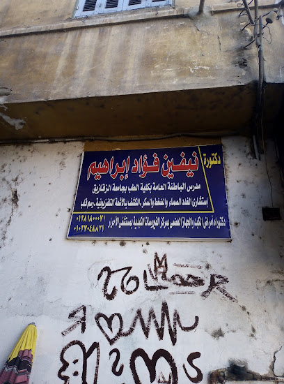 نيفين فؤاد ابراهيم