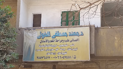مهند مصطفي الخولى