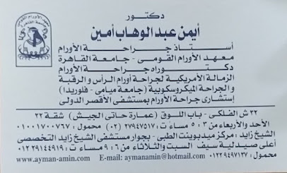 Ayman Abdelwahab