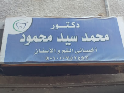 Mohamed Sayed Mahmoud