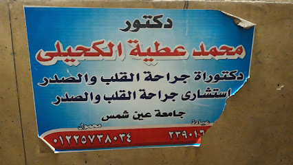 Mohamed Atyh El-Khyly
