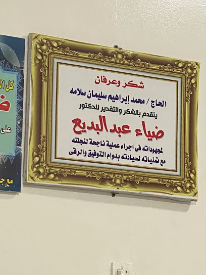 Diaa Abdelbdya
