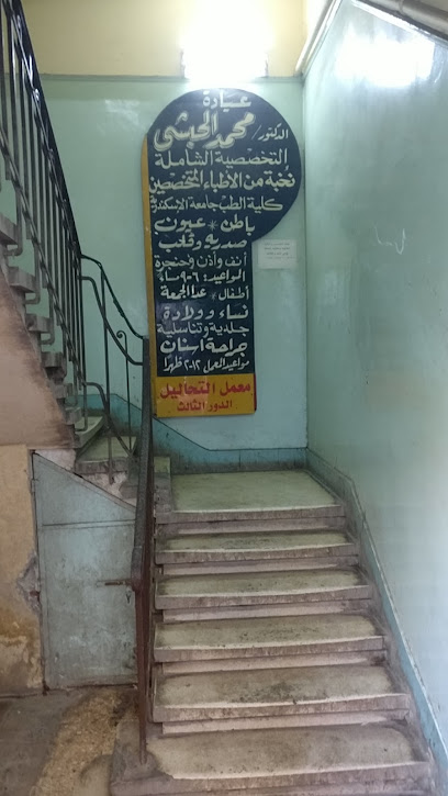 محمد الحبشي