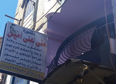 منى على أمين